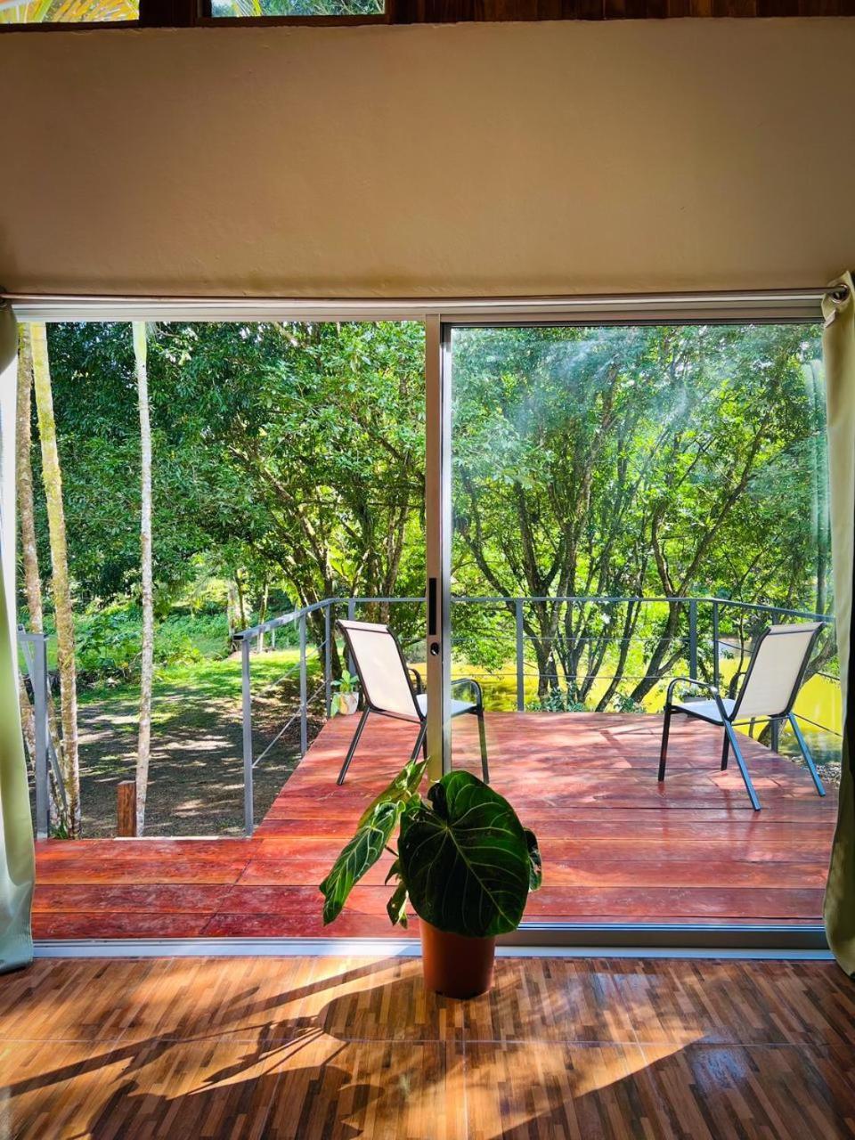 Ficus House Apartment Boca Tapada Екстериор снимка