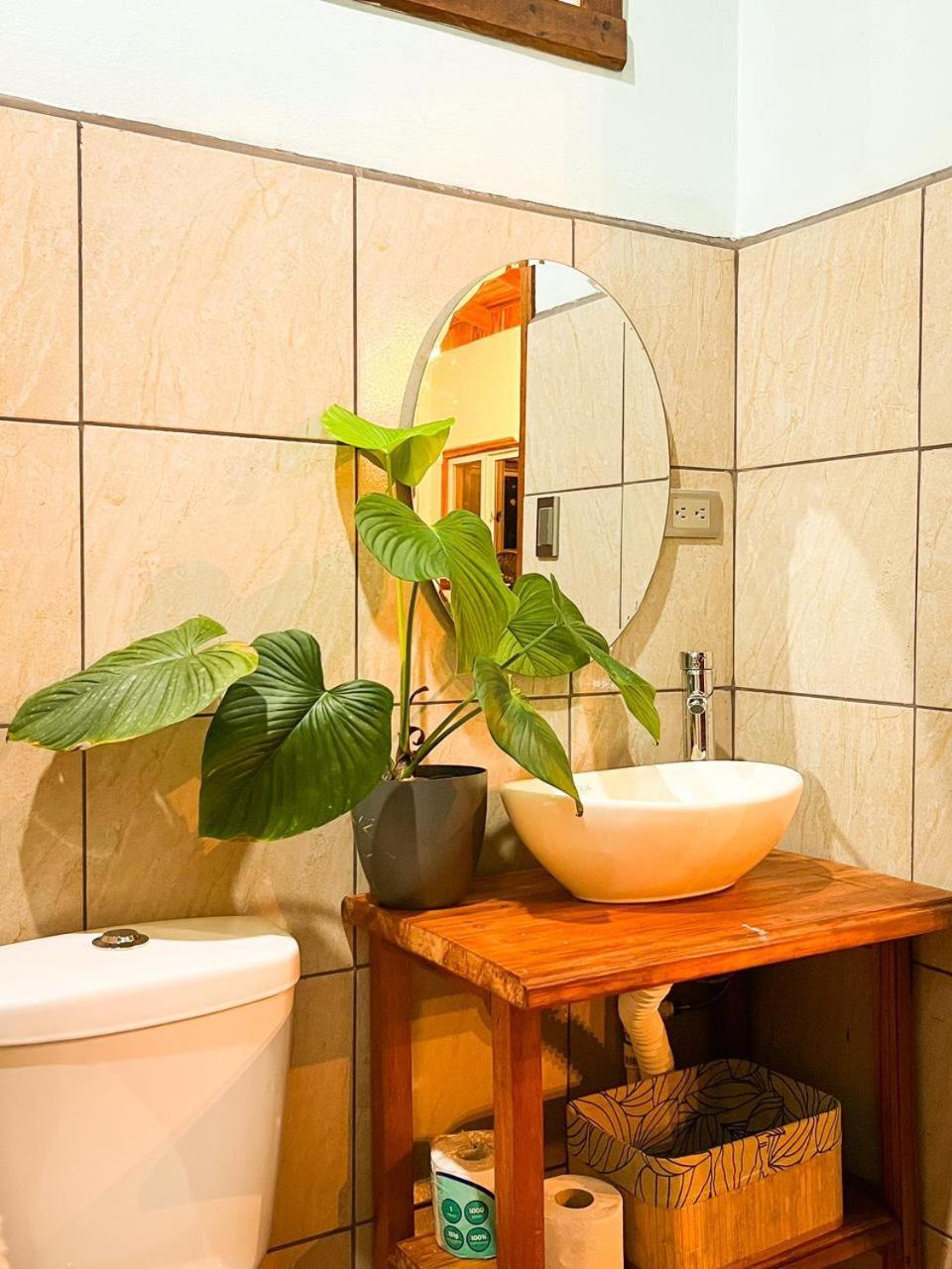 Ficus House Apartment Boca Tapada Екстериор снимка