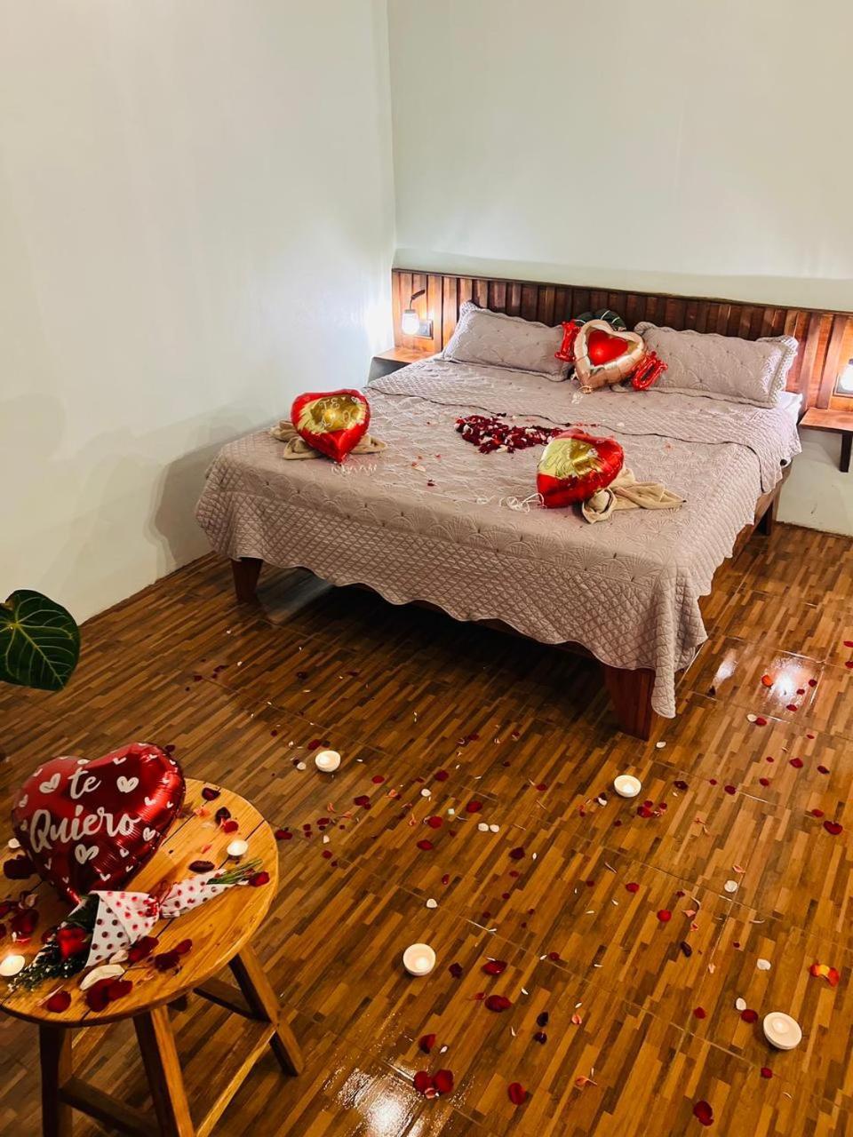 Ficus House Apartment Boca Tapada Екстериор снимка